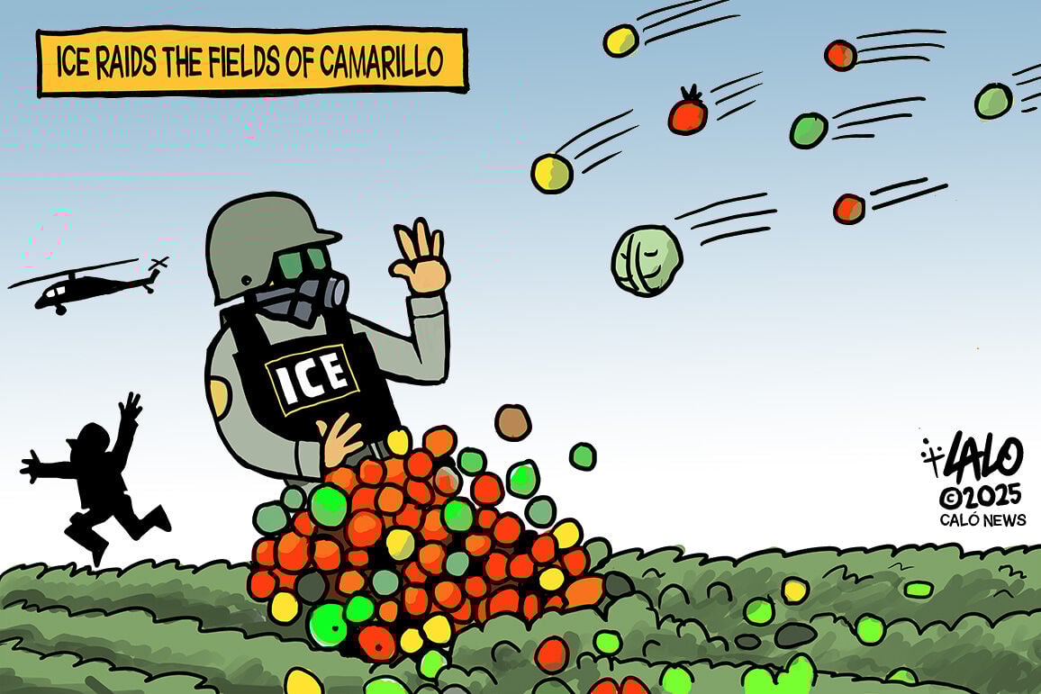 Lalo on CALÓ: Reap what you sow